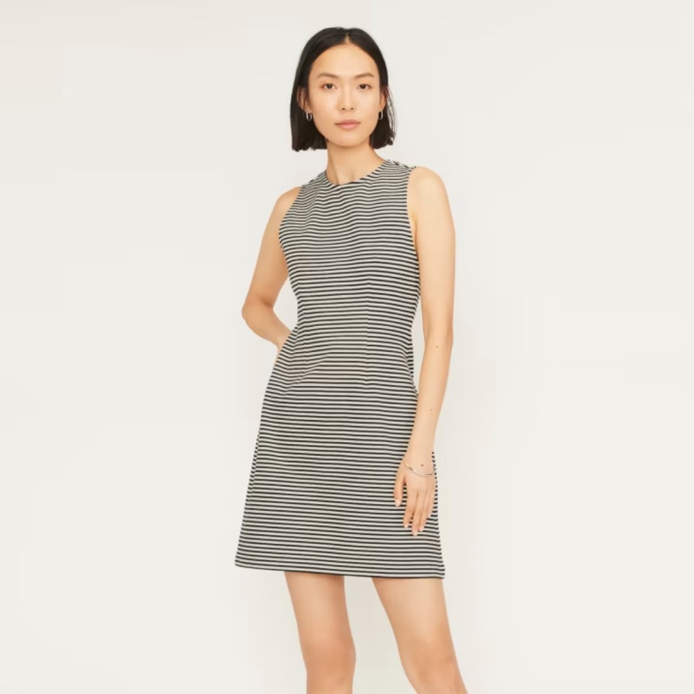Everlane Dream Shift Sleeveless Dress Black and White Stripes